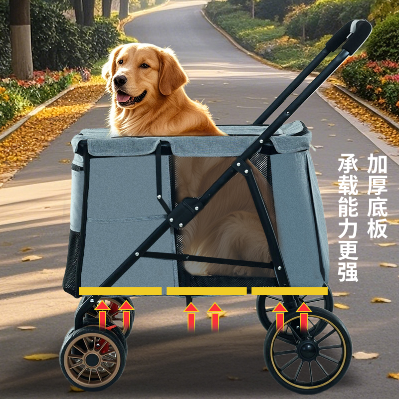 dagouZT2