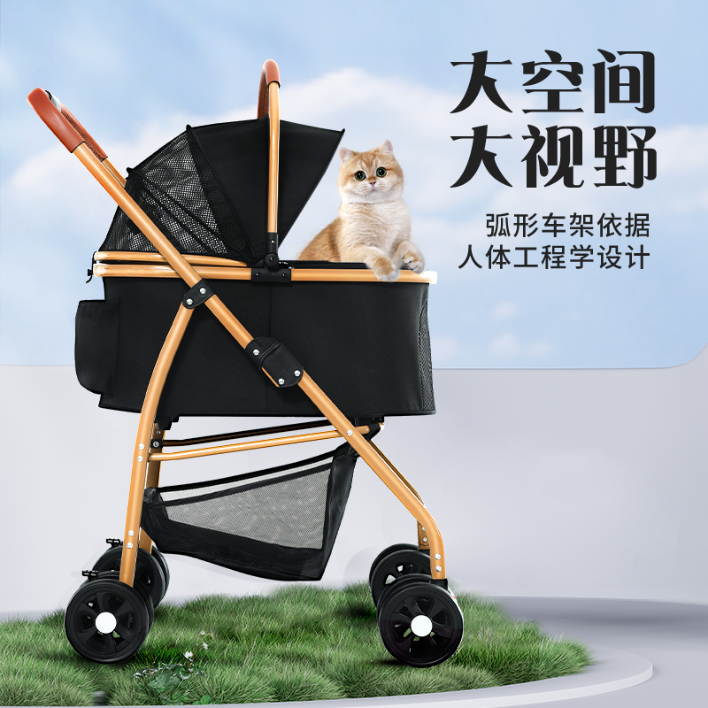 组 2